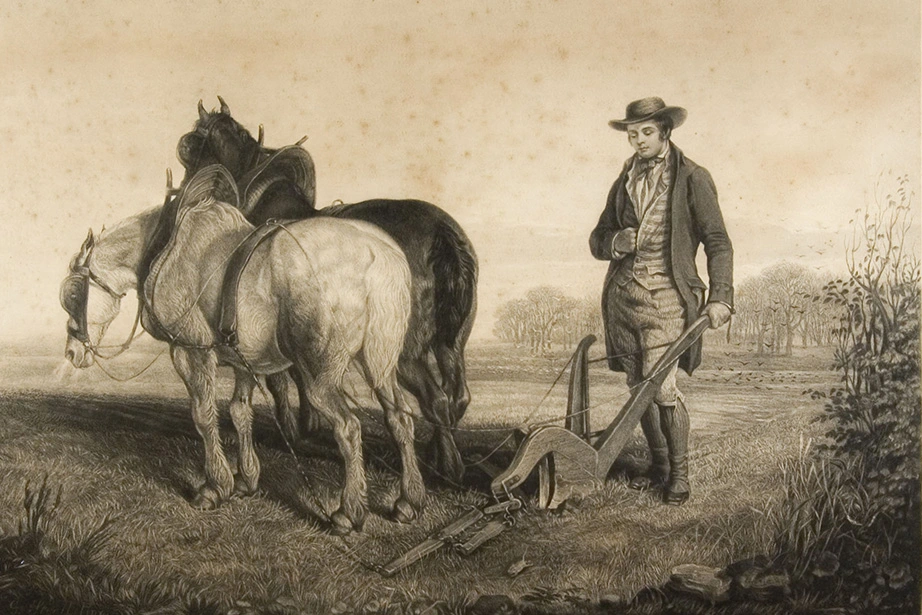 Robert Burns to a mouse