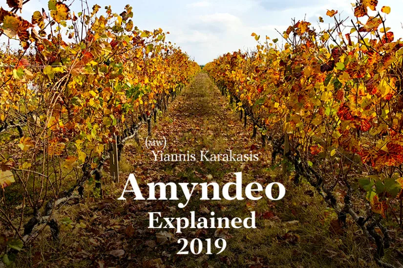 Yiannis Karakasis MW Amyndeo report 2019 the likker