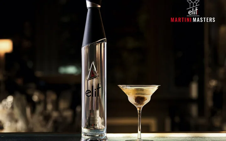 elit vodka martini masters