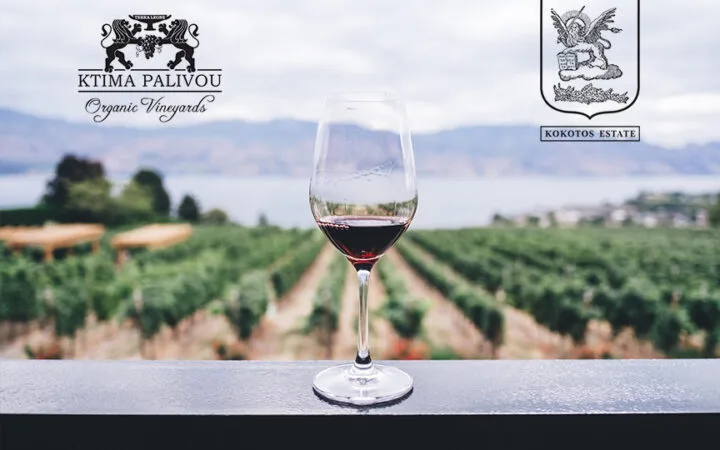 amvyx palivos kokotos