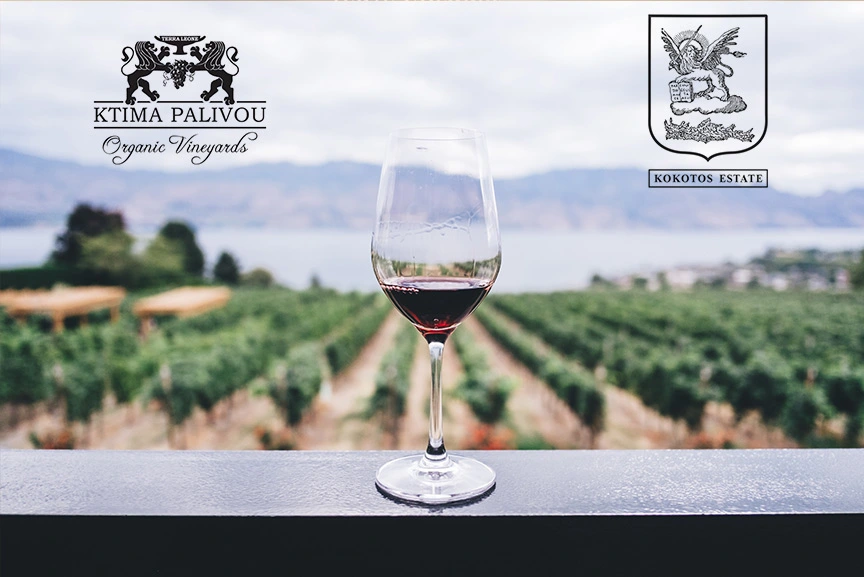 amvyx palivos kokotos