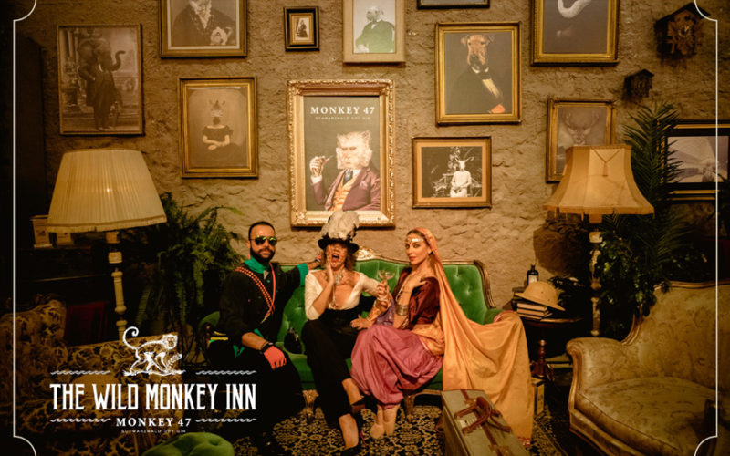 the wild monkey inn monkey47